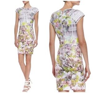 Ted Baker Window Blossom Fitted Occasion Dress Size 2